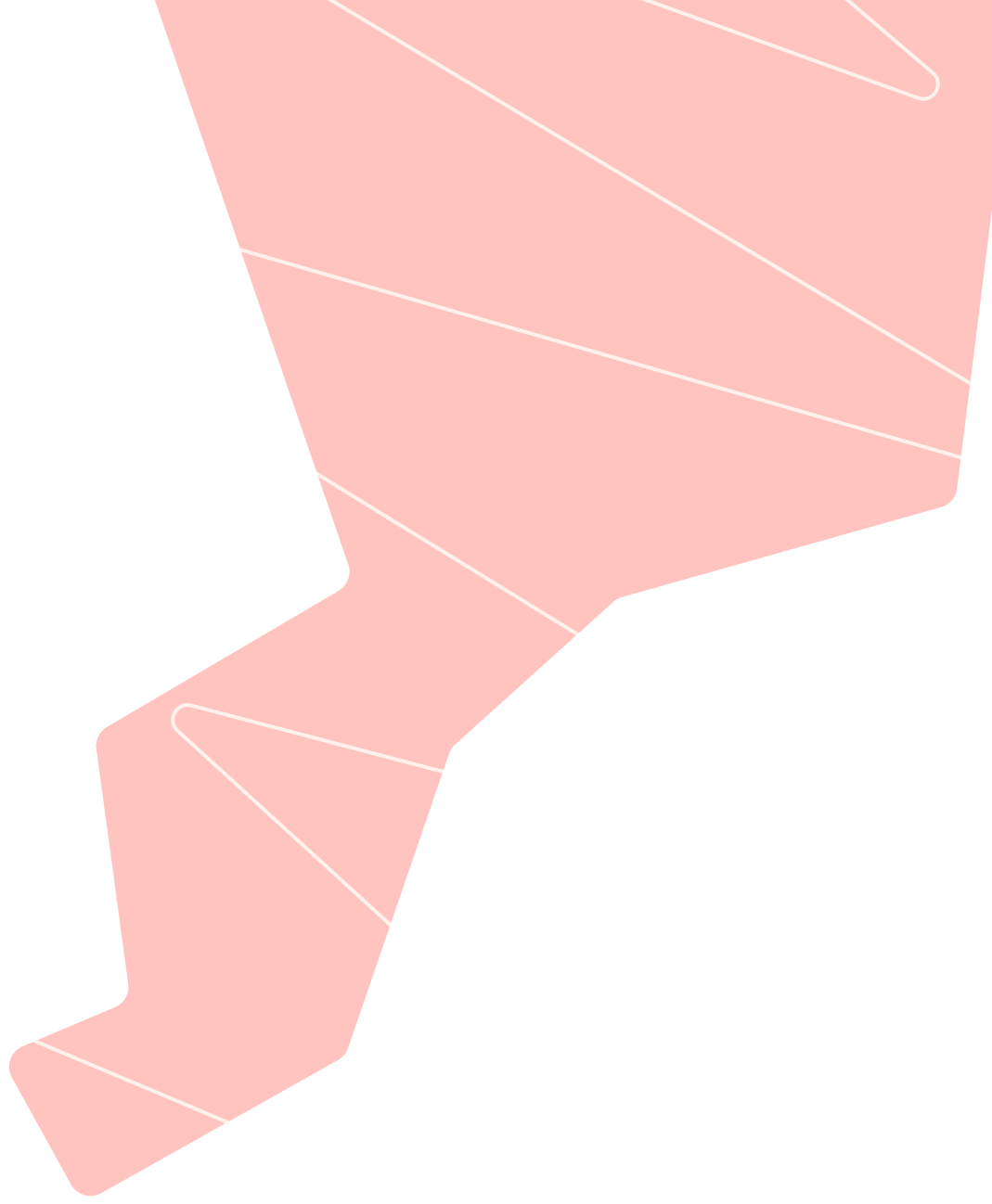 Precision [shape_1] \\ Software & IT \\ [shape_2] Solutions.